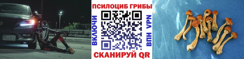 Купить  Кировград  Псилоцибиновые грибы Cubensis 